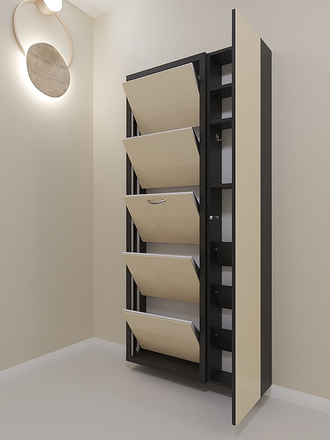 Обувница Айрон-5 Дуэт (фасад стекло капучино)