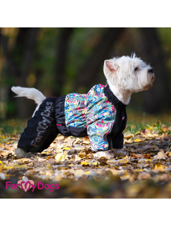 Комбинезон для больших собак Бута мультиколор