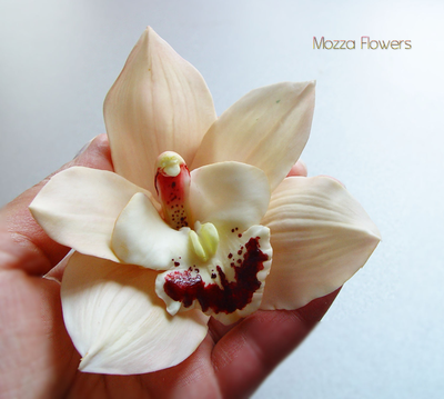 Орхидея Цимбидиум .