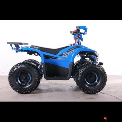 Квадроцикл GreenCamel Gobi K90 (20Ah 48V 750W R7 Дифф) LUX Bluetooth Синий