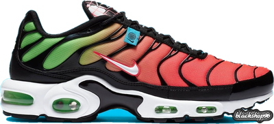 NIKE AIR MAX PLUS WORLDWIDE (40-45)
