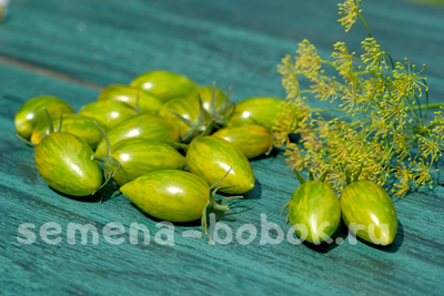 Томат Зеленый Тигр ( Green Tiger), 10 шт