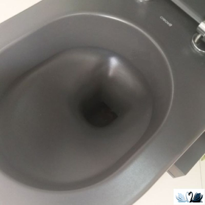 Унитаз Creavit Free FE320-11AM00E-0000 Antrasit. Фото традиционного "ободкового" смыва. Так надежней