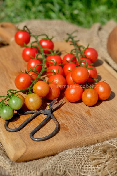 Томат Черри Аннабель, 10 шт