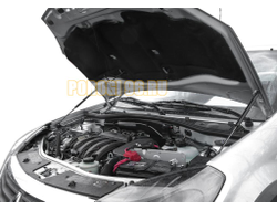 Амортизаторы капота, 2 шт. АвтоУпор для Renault Sandero I 2009-2014