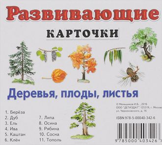 Развивающие карточки  "Деревья, плоды, листья"