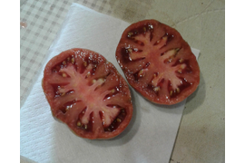 Грааль, плод  в разрезе