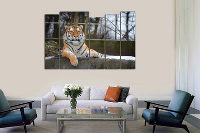 Модульная картина "Спокойный тигр"