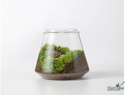 Чаша Пузырь Biolark Two (120мм х 105мм)