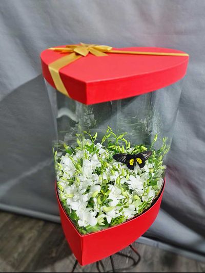 Большой букет с орхидей 201 шт. с большой бабочкой №111