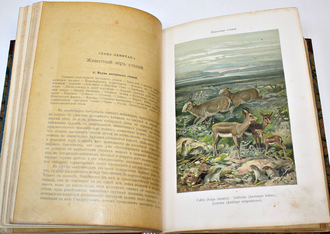 Кобельт В. Географическое распределение животных в холодном и умеренном поясах северного полушария. СПб.: Изд. А.Ф. Девриена, 1903.