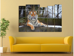 Модульная картина "Спокойный тигр"