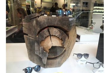 Декор витрины оптики, пень дуба, Мюнхен, Германия.