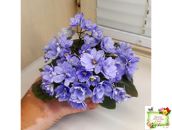 ЛЕ-Голубой Дунай (Е. Лебецкая) 2018 трейлер (пасынок сорт посажен 20.10.25)