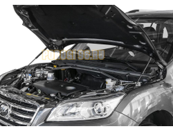 Амортизаторы капота, 2 шт. АвтоУпор для Lifan X60 I / I рестайлинг / I рестайлинг 2 2011-2015 / 2015-2016 / 2016-