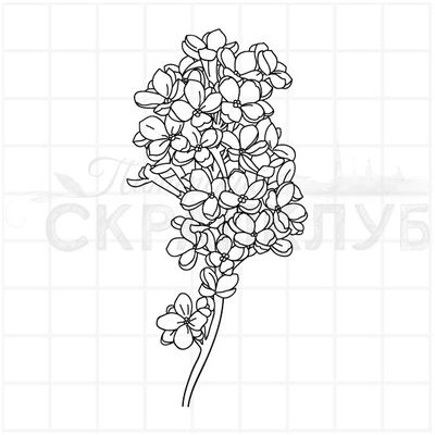 Штамп лист сирени