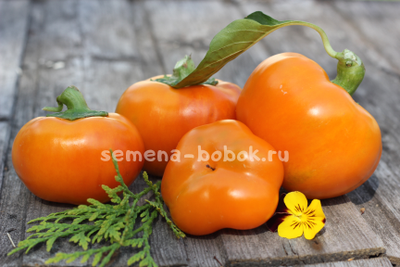 Перец сладкий Фон барон оранжевый, 10 шт.