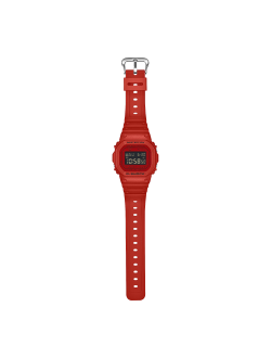 Часы Casio G-Shock DW-5600RRB-4