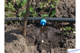 Капельный полив сада (разборная внешняя капельница 8л\ч) 