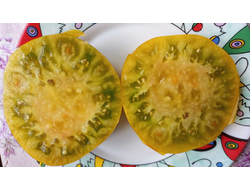 Томат Янтарная комната (Amber room)