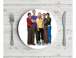 Тарелка Теория большого взрыва, The Big Bang Theory №17
