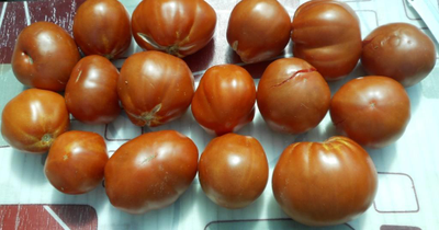 Томат Red Pear Franchi (Красные груши Франчи)