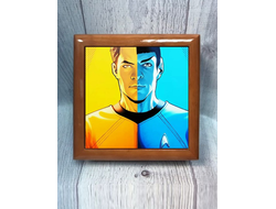 Шкатулка Star Trek, Стартрек №10