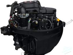 Лодочный мотор Marlin MF9.9AMHS (15)