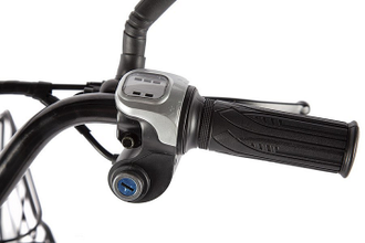 Электровелосипед GREEN CITY e-ALFA Fat 24/3, черный