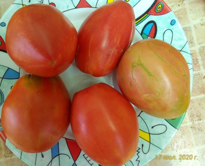 Томат Подсинское чудо