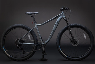 Велосипед Полуфэтбайк Timetry TT242, 10СК 29" СЕРЫЙ,  РАМА 19"