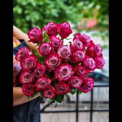 Роза Эквадор &quot;Дип Перпл&quot; 80 см 25 шт