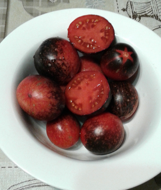 Семена томата Темная галактика