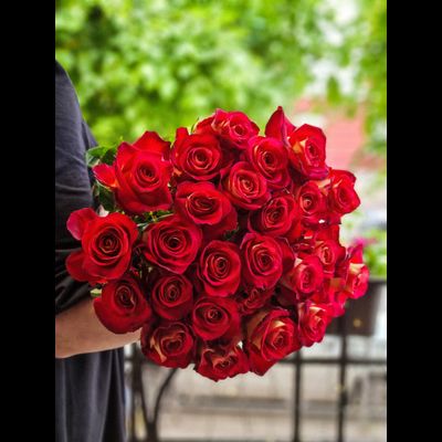 Роза Эквадор 70 см 25 шт