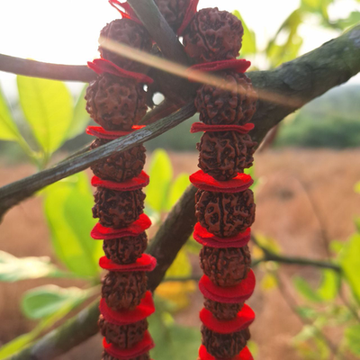 Четки Premium quality из натуральной крупной Рудракши 54 бусины красные