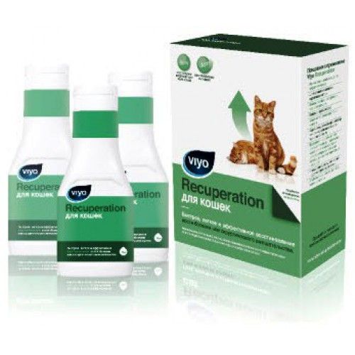 Иммуномодуляторы для кошек. Пробиотик Вайо для кошек. Пробиотики для кошек вийо. Пробиотик для котят Viyo. Напиток для кошек Вайо Viyo.