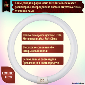 Osram L 32w 827/840 С Circular G10q