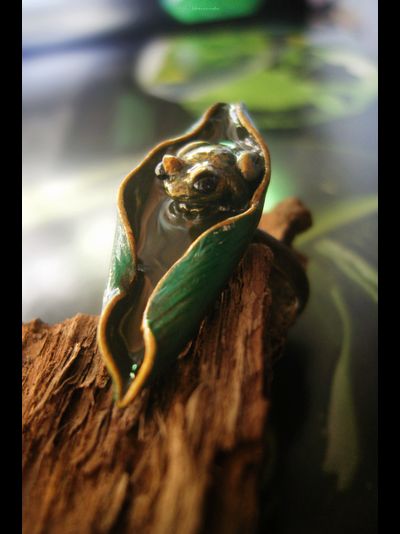 "После дождя", необычное кольцо с тропической лягушкой