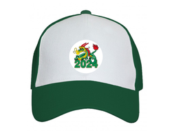 Кепка год Дракона №6