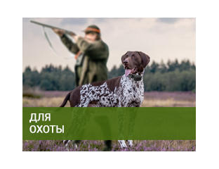 Ошейники для Собак для Охоты Купить | Trainertec