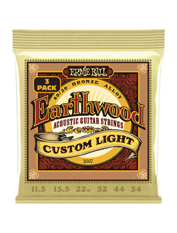 Ernie Ball 3007