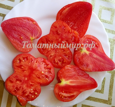 Томат Заилийский Алатау