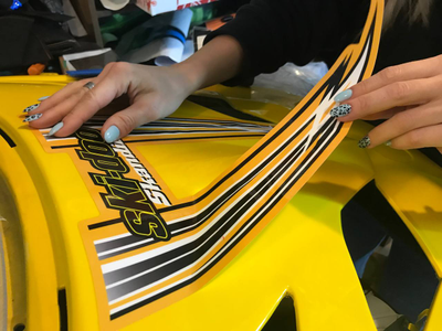 Наклейки на снегоход BRP Lynx Skandic 600 №2410