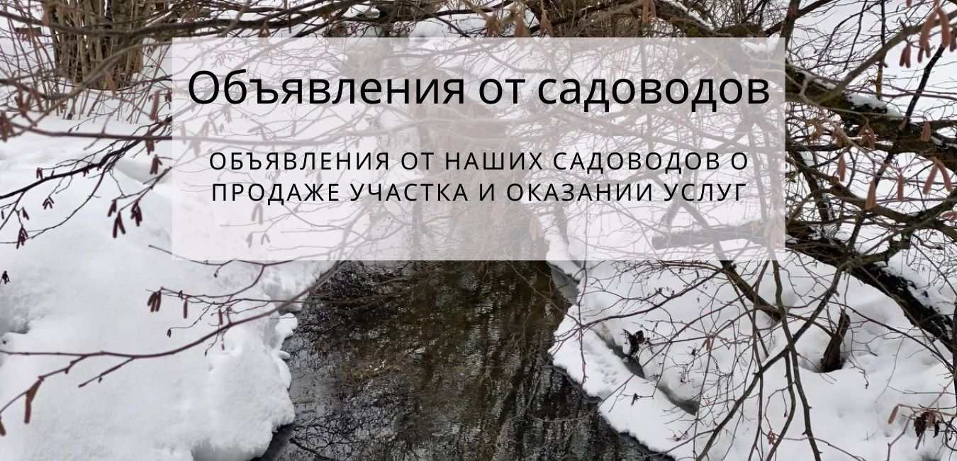 Объявления и новости СНТ Лесная поляна Красногорск Нахабино