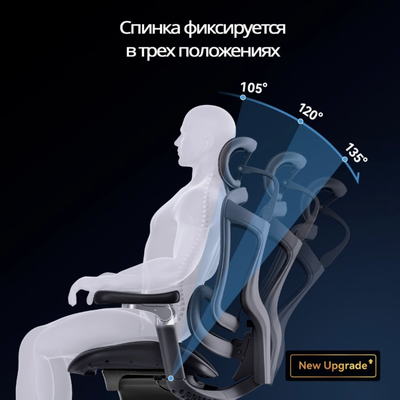 Ортопедическое кресло SIHOO Doro C300 Pro | чёрное