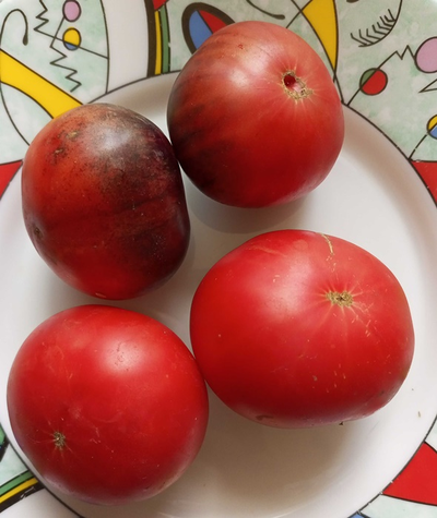 Томат Чупа чупс красный (Chupa Chups red, USA)