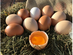 Яйцо куриное  (1 десяток)
