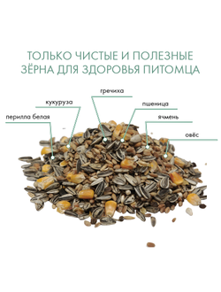 Fiory (Фиори) Classic корм для крупных попугаев, 600 г