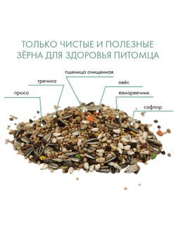 Fiory (Фиори) Classic корм для средних попугаев, 400 г