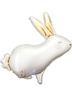 Зайка золотые ушки